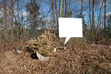 Speech bubble with discarded Christmas tree