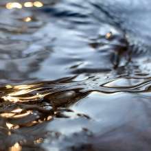 Running Water / December 18, 2019  / South Fork New River / Boone, North Carolina