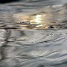 Running Water / February 17, 2020  / South Fork New River / Boone, North Carolina