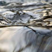 Running Water / March 30, 2020  / South Fork New River / Boone, North Carolina