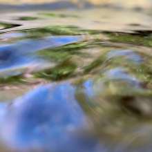 Running Water / July 1, 2020  / South Fork New River / Boone, North Carolina