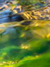 Running Water / March 3, 2021  / South Fork New River / Boone, North Carolina