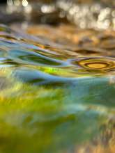 Running Water / March 20, 2021  / Boone Creek / Boone, North Carolina