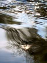 Running Water / September 18, 2021  / South Fork New River / Boone, North Carolina