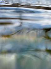 Running Water / March 7, 2022  / South Fork New River / Boone, North Carolina