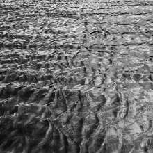 Running Water / October 21, 2016  / South Fork New River / Boone, North Carolina