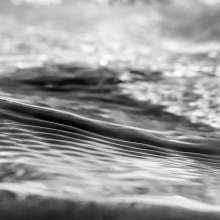 Running Water / March 6, 2019  / South Fork New River / Boone, North Carolina